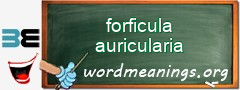 WordMeaning blackboard for forficula auricularia